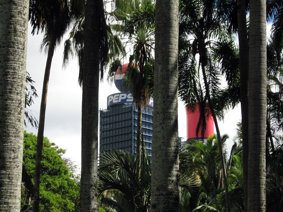 Jardín Botánico de Caracas by Alberto Rojas