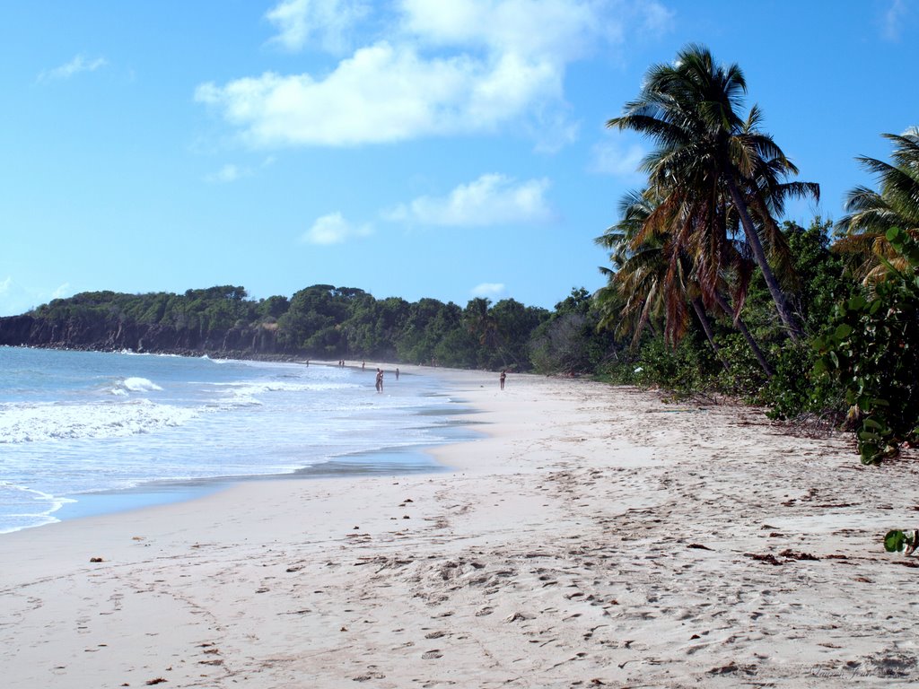 Les Salines by lauren jean-paul