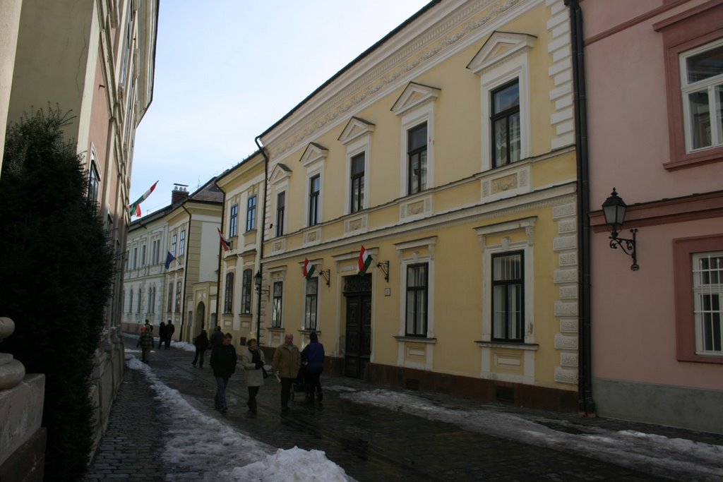 Castle district, Veszprém, Hungary by MBagyinszky