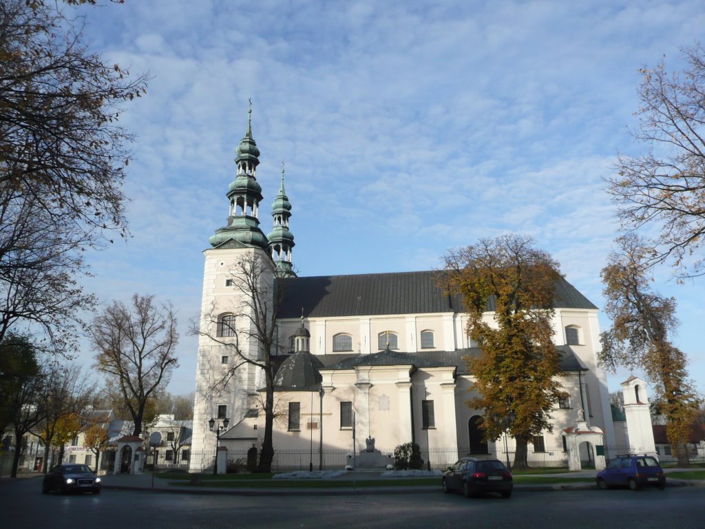 Lowicz basilica (side) by Marta Jedraska (PL)