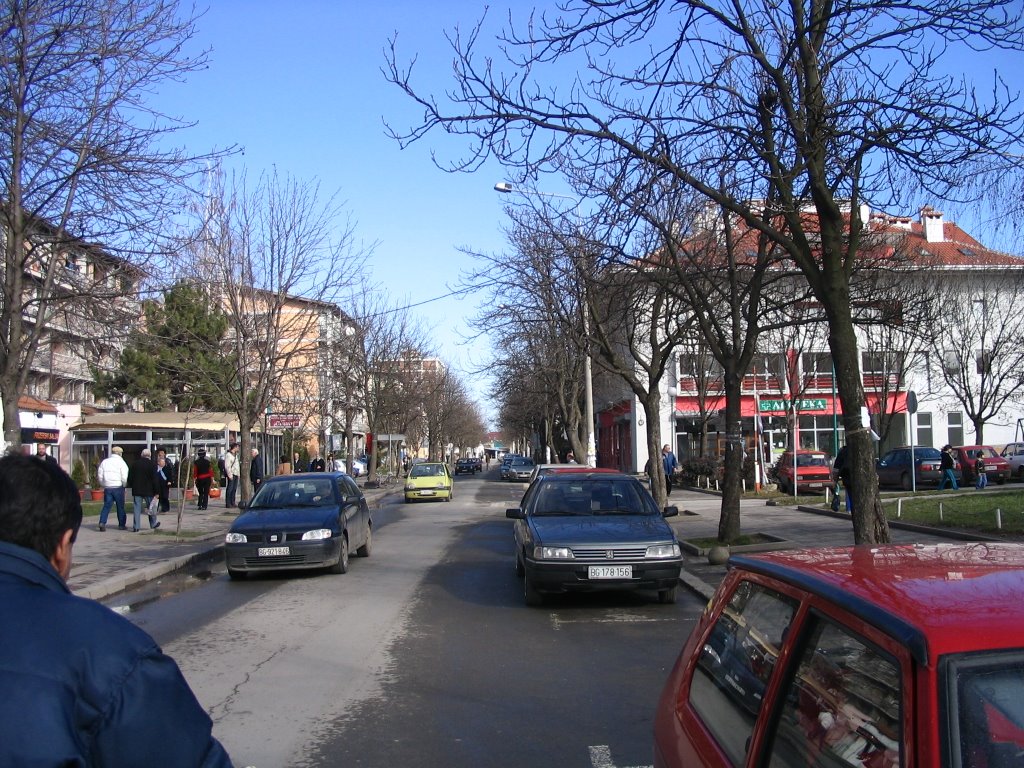 Obrnovac, ul. Vuka Karadzica by Zelimir.J.