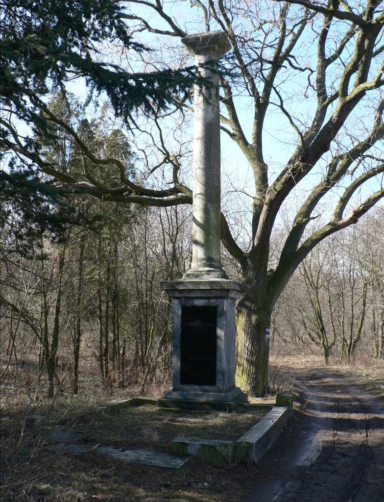 Паметник на братя Шкорпил / Shkorpil brother's monument by Ивайло Николаев