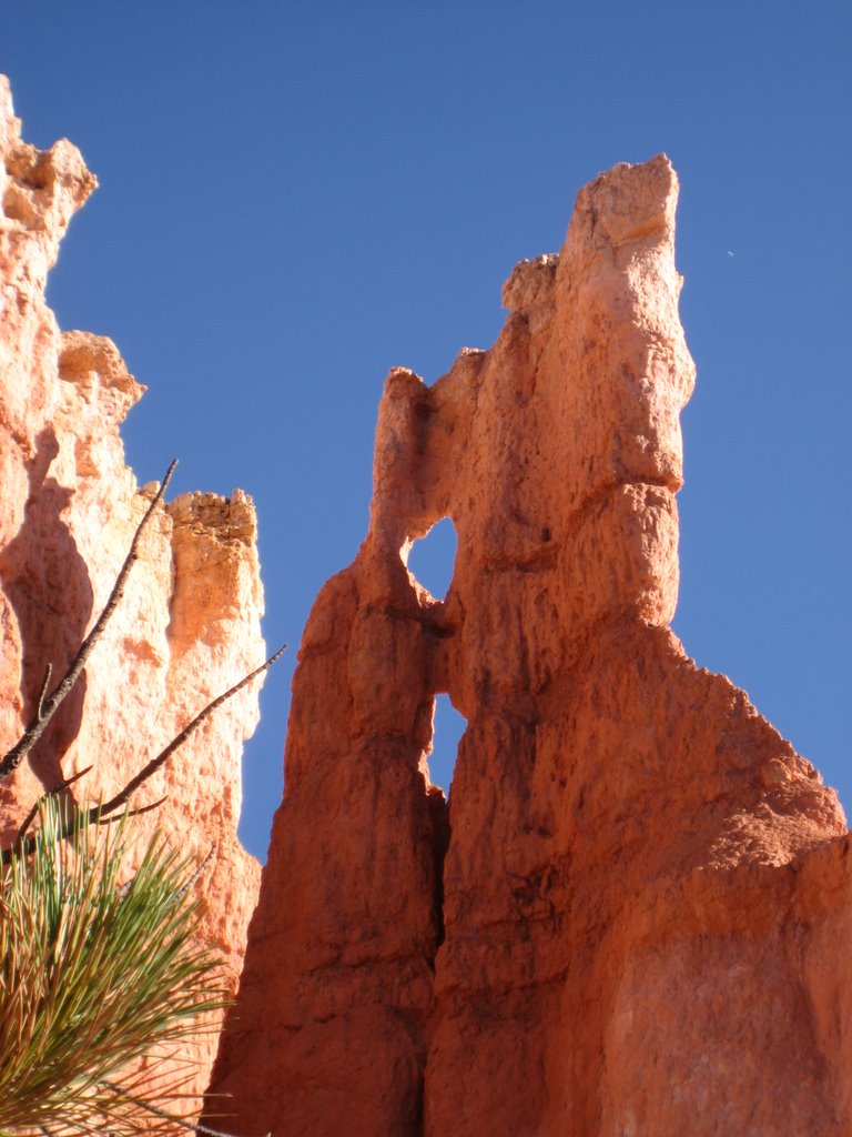 I left my heart in Bryce Canyon by mtnsavage