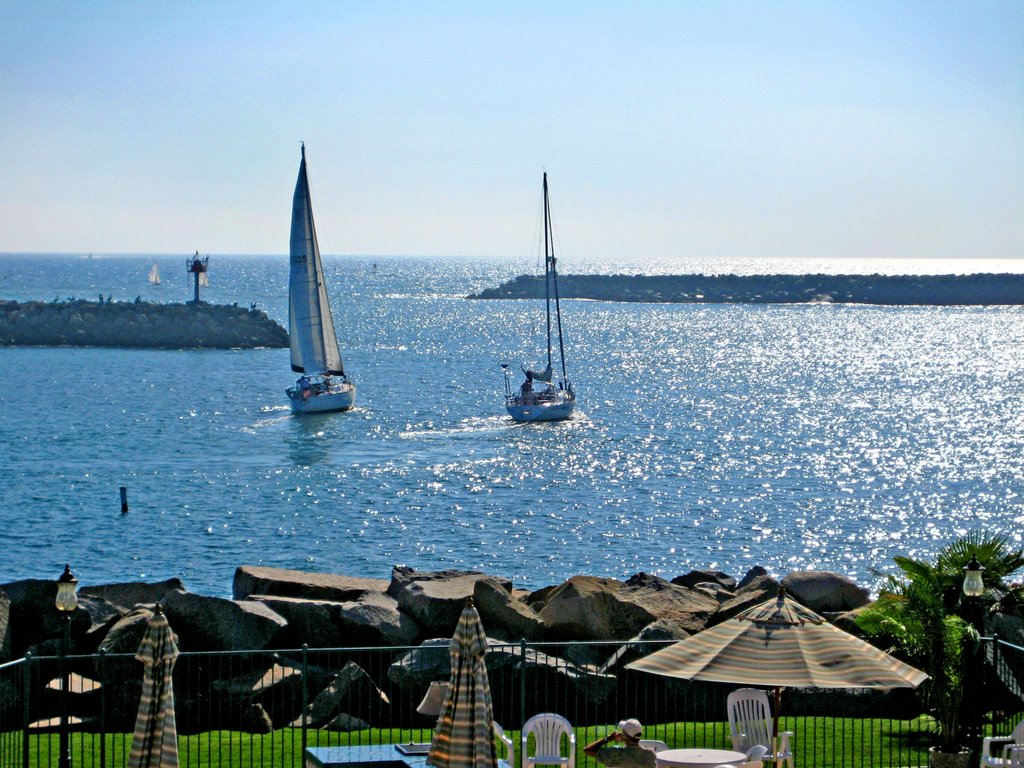 Oceanside, CA, Oceanside Marina Suites - Sailboats by Extreme-BC