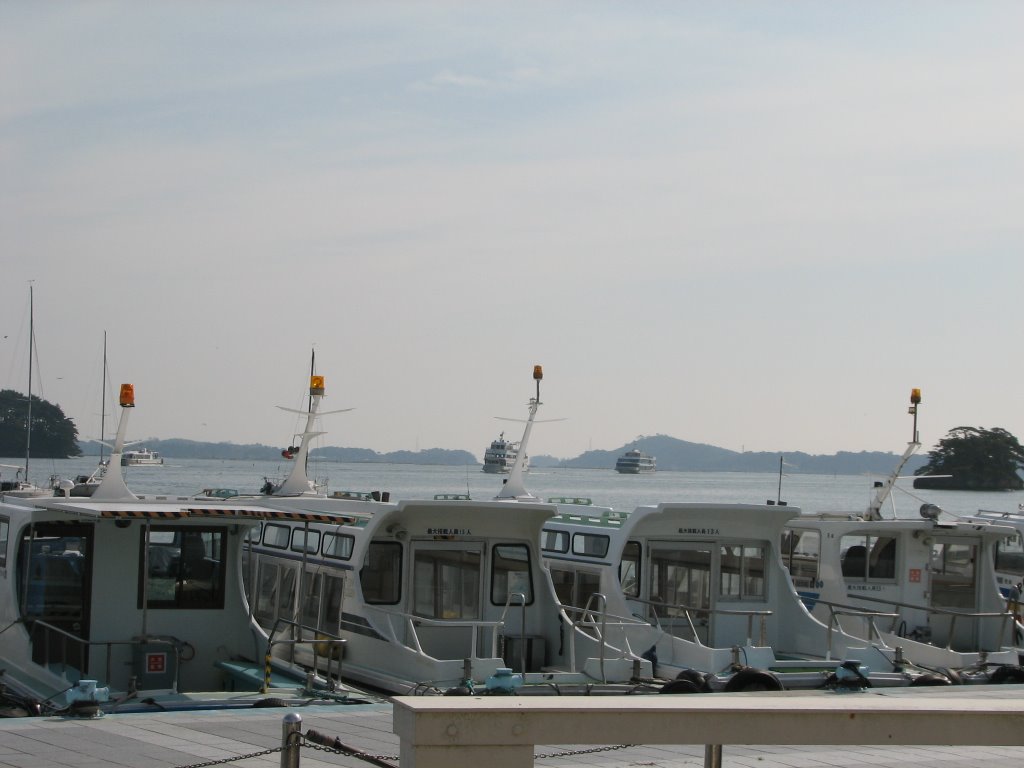 Matsushima bay by Dmitry Tsukanov