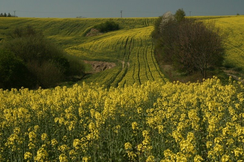 747 14 Ludgeřovice, Czech Republic by marschi