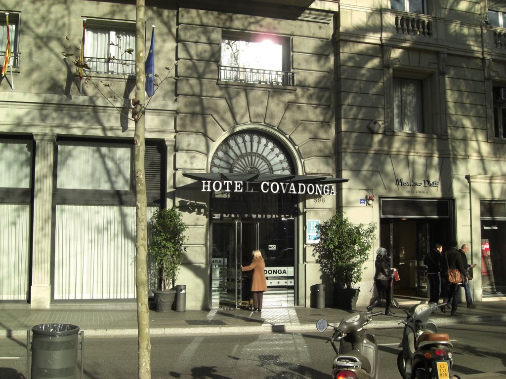 Hotel covadonga by Alin S.