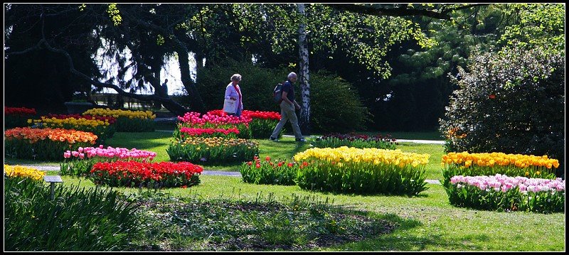 Morges, Switzerland by 尼尔伯