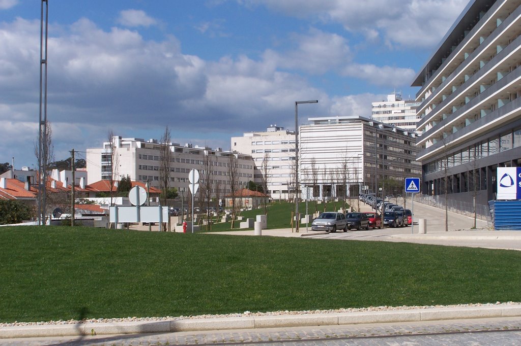 Rotunda junto à Estação de Parque Maia by fernando vilela