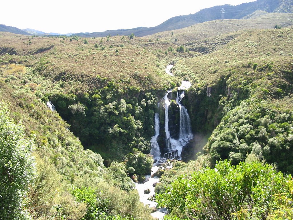 Waipunga Falls S38 57.433 E176 31.433 2006-03 by P.Henning Hansen DK