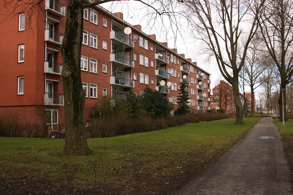 Amsterdam West by Bocaj Nesnaj