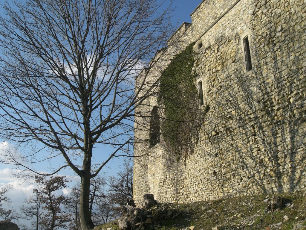 Château - Saint Quentin - Janvier 2009 by R.T.2