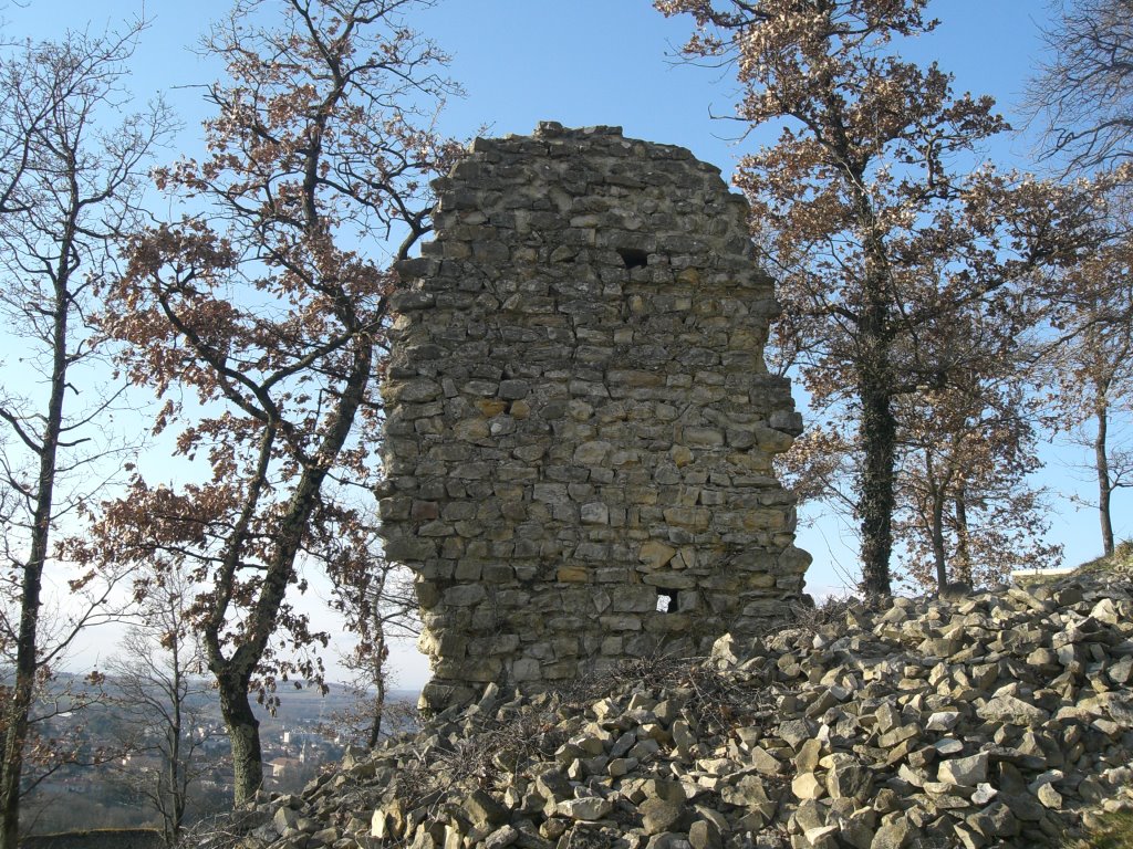 Château - Saint Quentin - Janvier 2009 by R.T.2