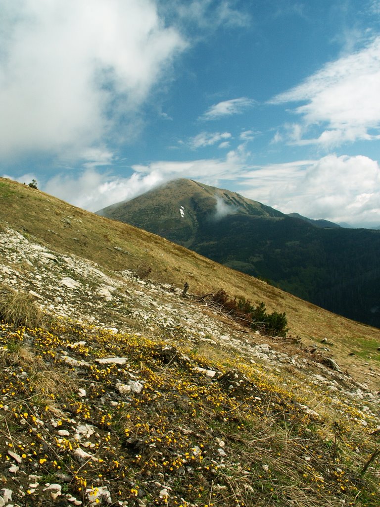 Mala Fatra - Stoh by tomas.sigl