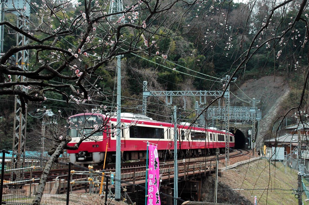 田浦梅林から京浜急行(Keikyu line from Taura plum grove) by 9m2ji1etu