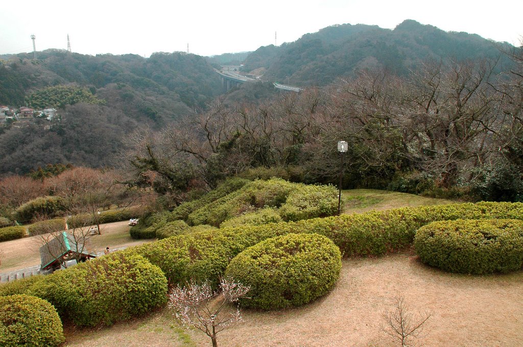 田浦梅林展望台からの眺め(View from Taura plum grove observatory) by 9m2ji1etu