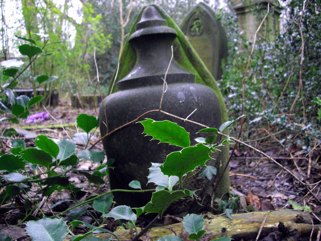 Stone Urn by Andrew Lane