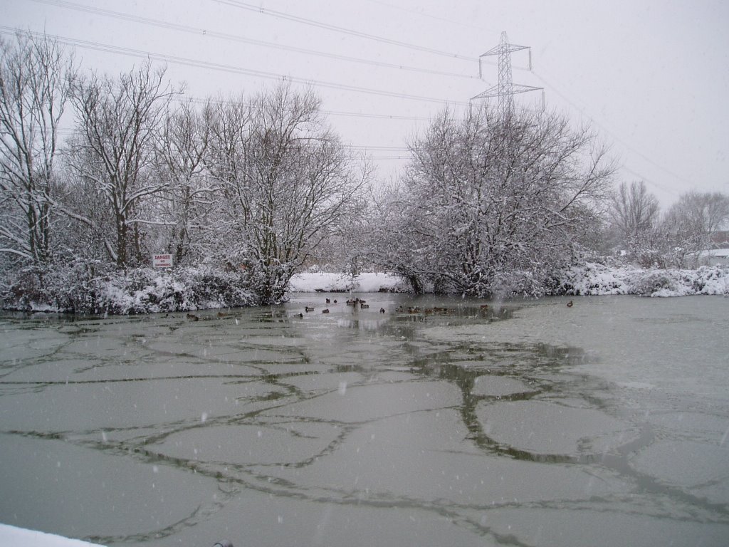 Ladygrove Lake 2 Jan 09 by billservice