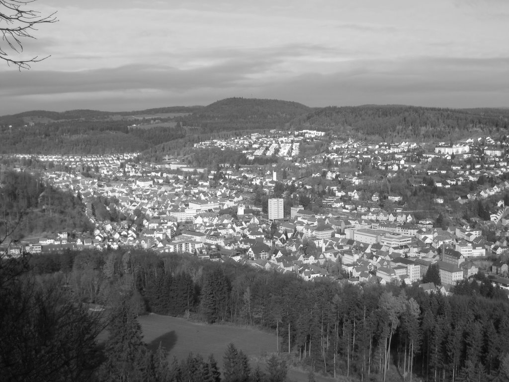 Blick auf Albstadt-Tailfingen by Frioli