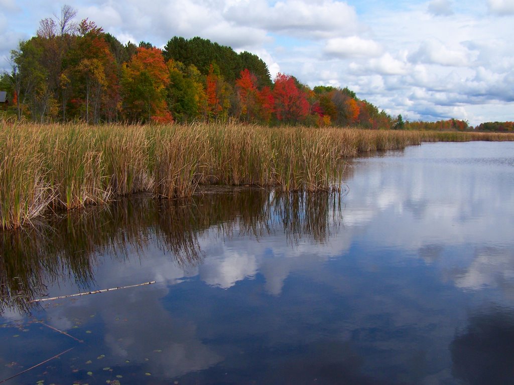 Mer Bleue, conservation area near Ottawa - view north-east. October 2008 by januszl