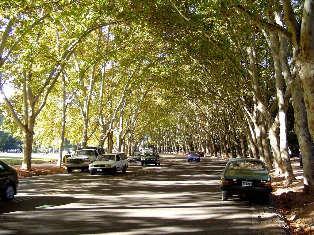 Parque Gral San Martin, Mendoza, Argentina by stn