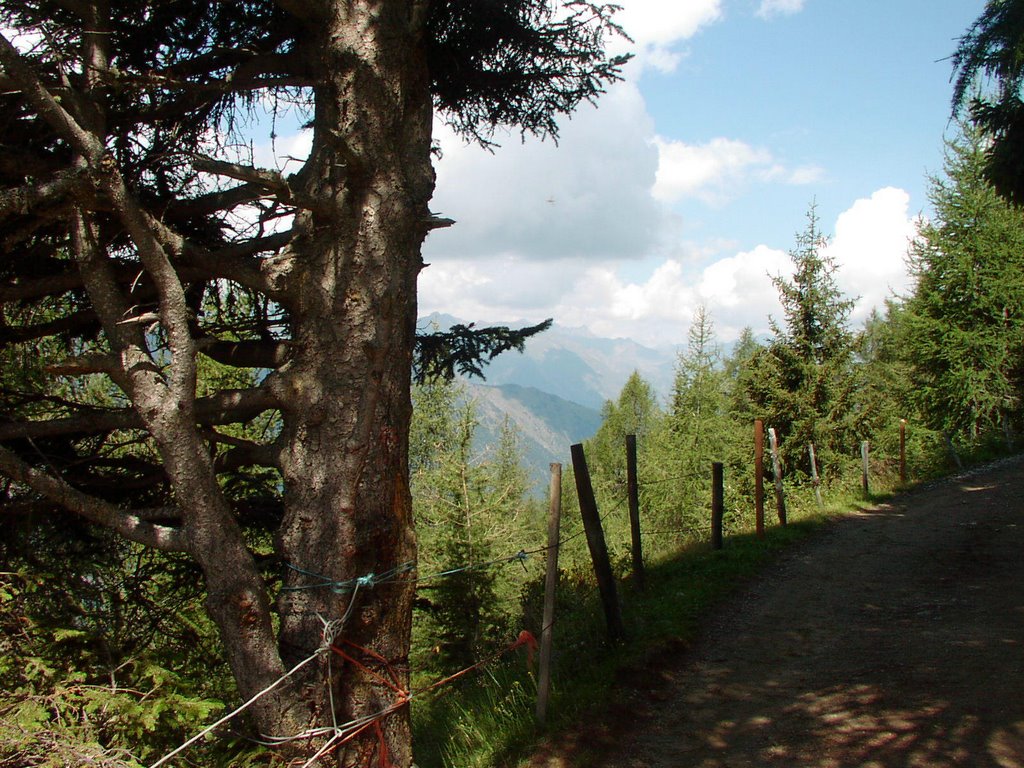 Auf dem Weg zum Hirzer by Rainer I.