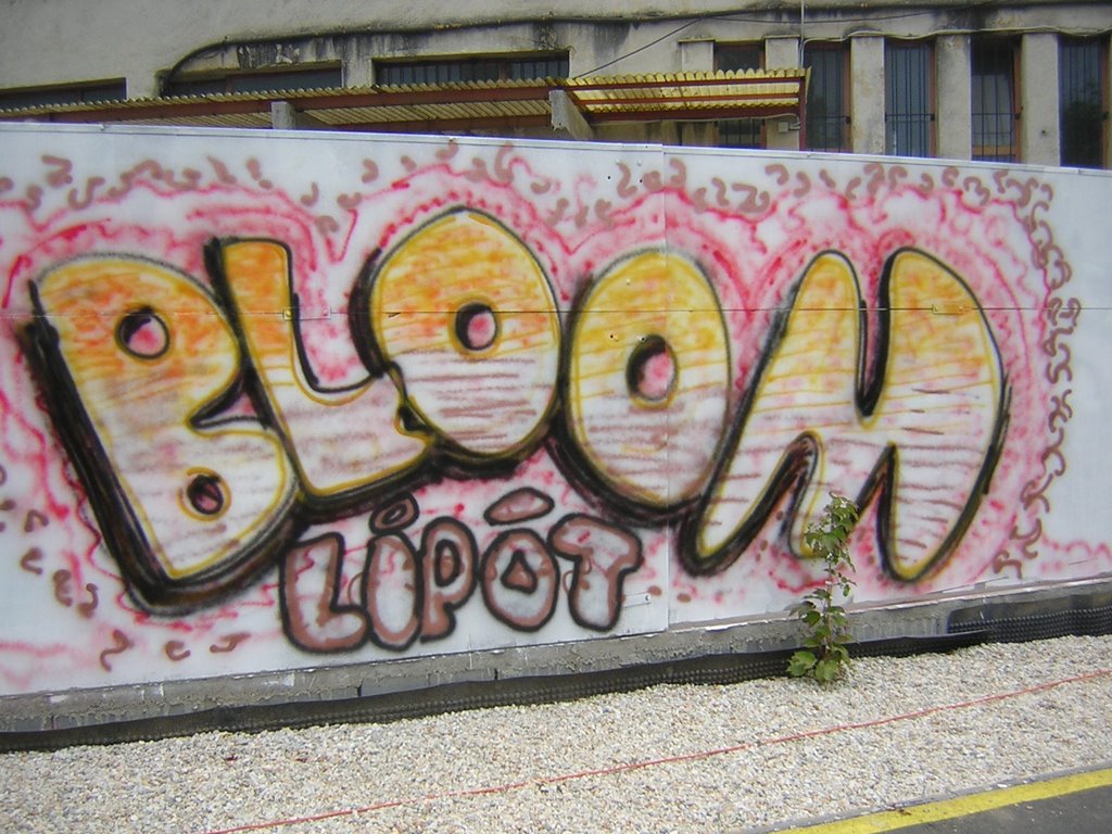 Graffiti bloom by gatoulis2