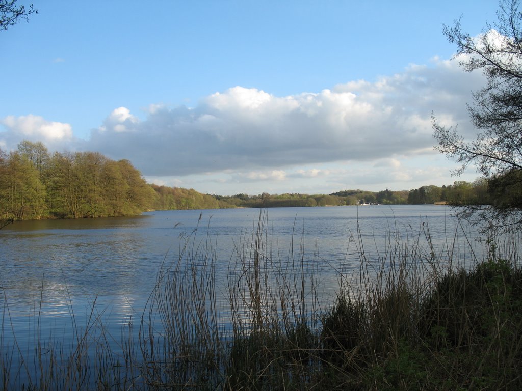 Lütjensee, Germany by szmathe