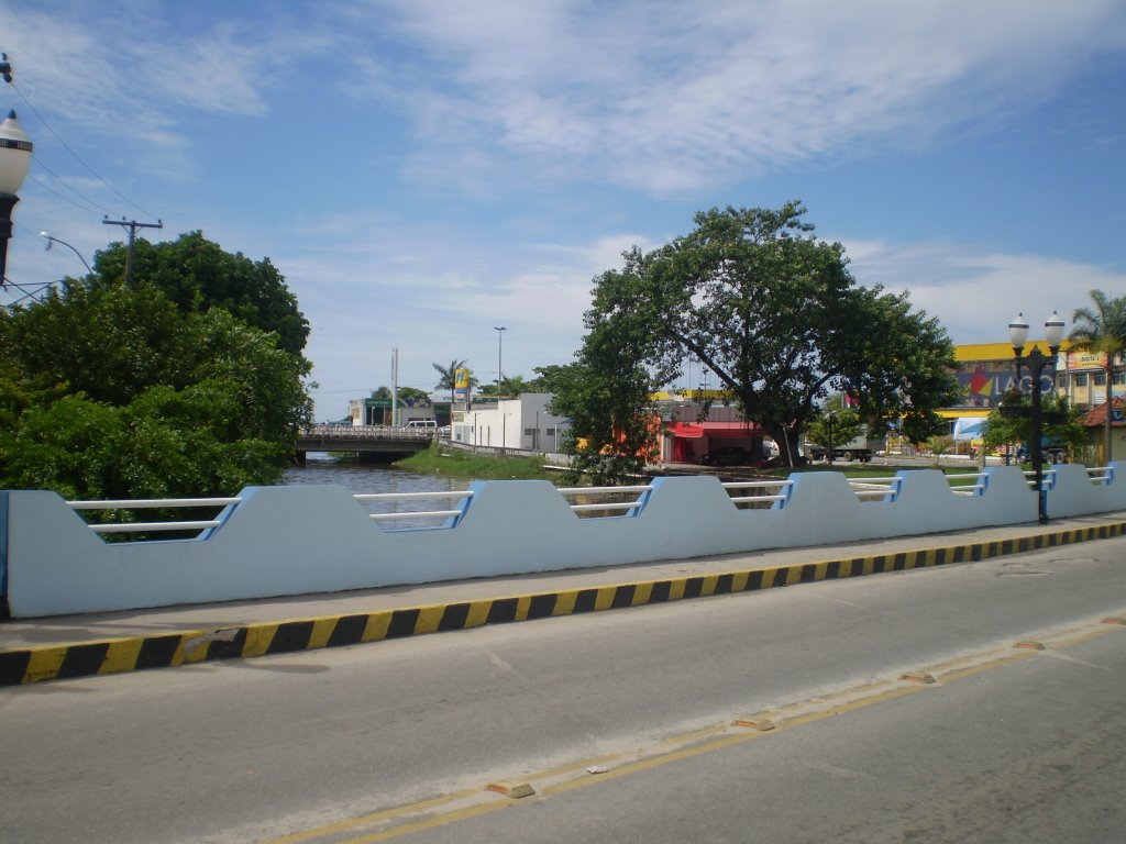 Ponte sobre o Rio Mataruna by Julio (JC)