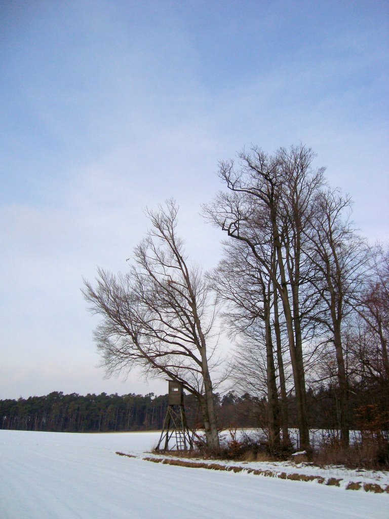 Winterbäume by WanderGroschi & CGK