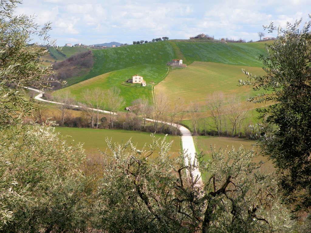 Campagna abruzzese by di turi domenico