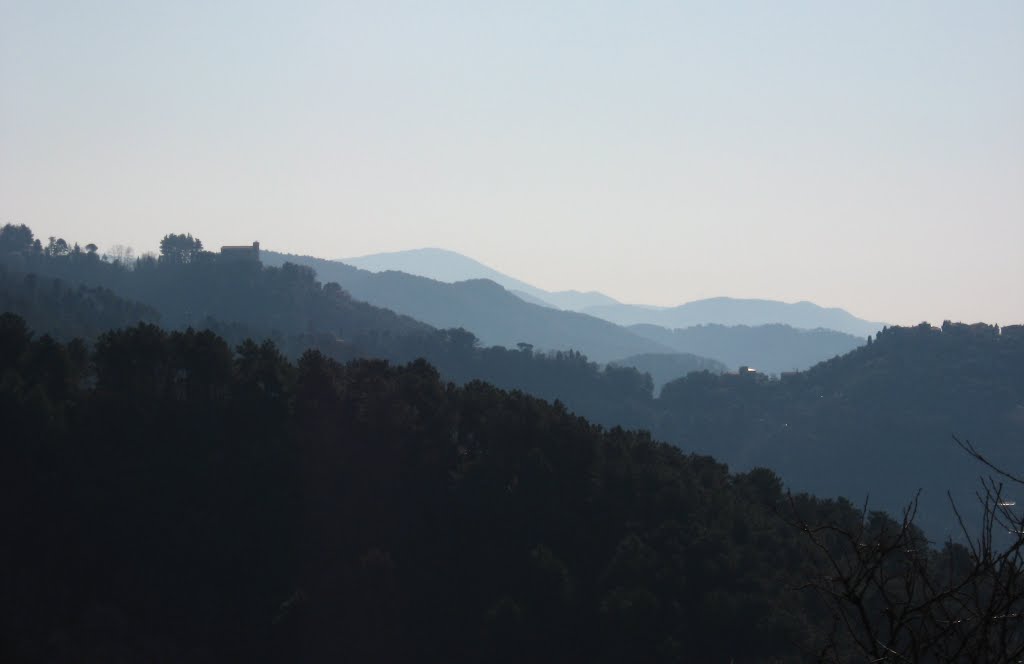 Località al Colle - vista sulle colline di Montgiano by kriszta13