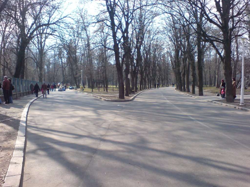 Parcul Nicolae Romanescu, Craiova by kossxtreeme