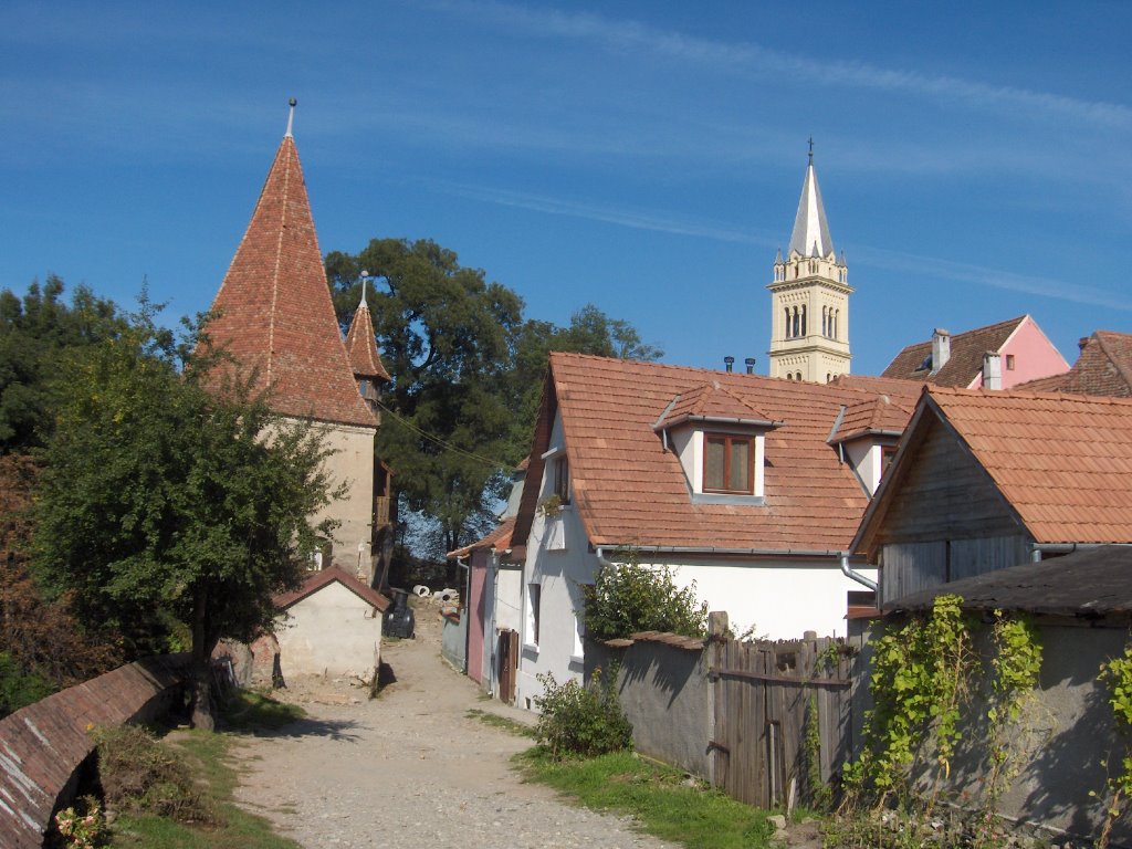 Sighisoara by Mircea Moldovan