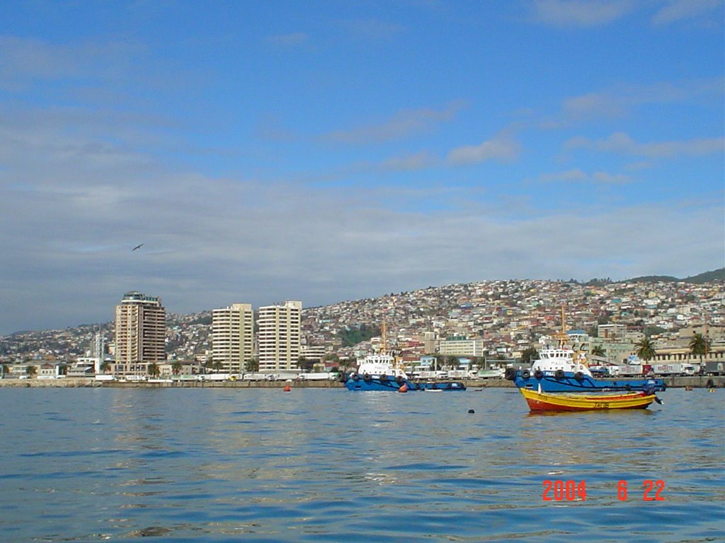 Bahia de Valparaiso, Chile by Hector Salazar