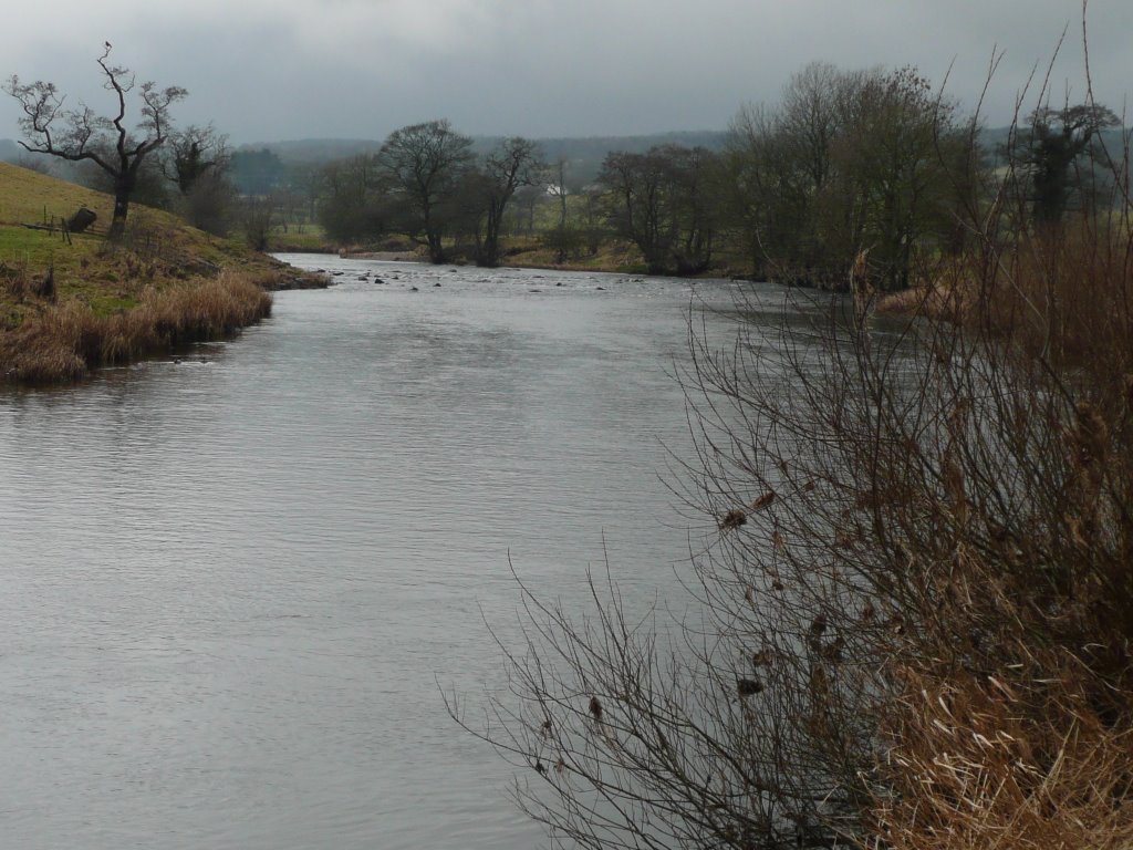 Ribble way by Tim Boon