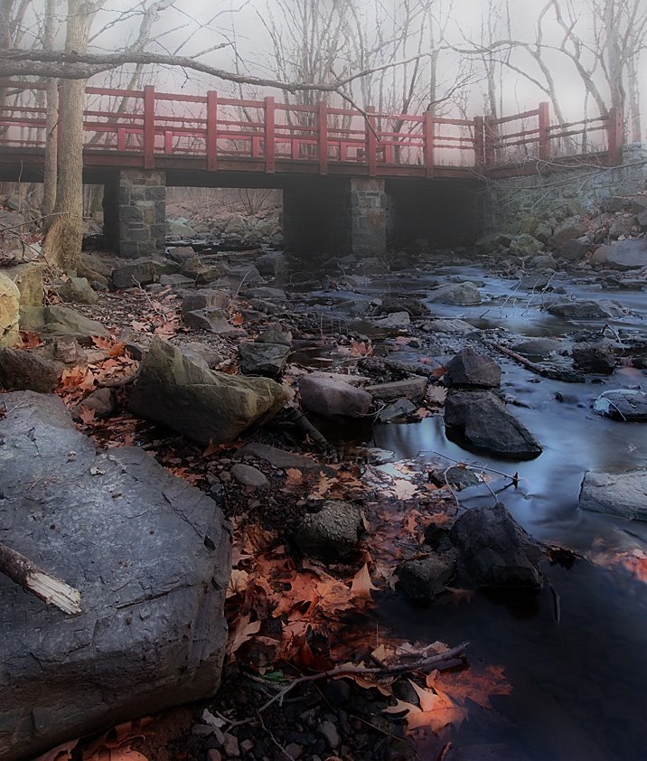 Clove lakes park by robert karpowicz