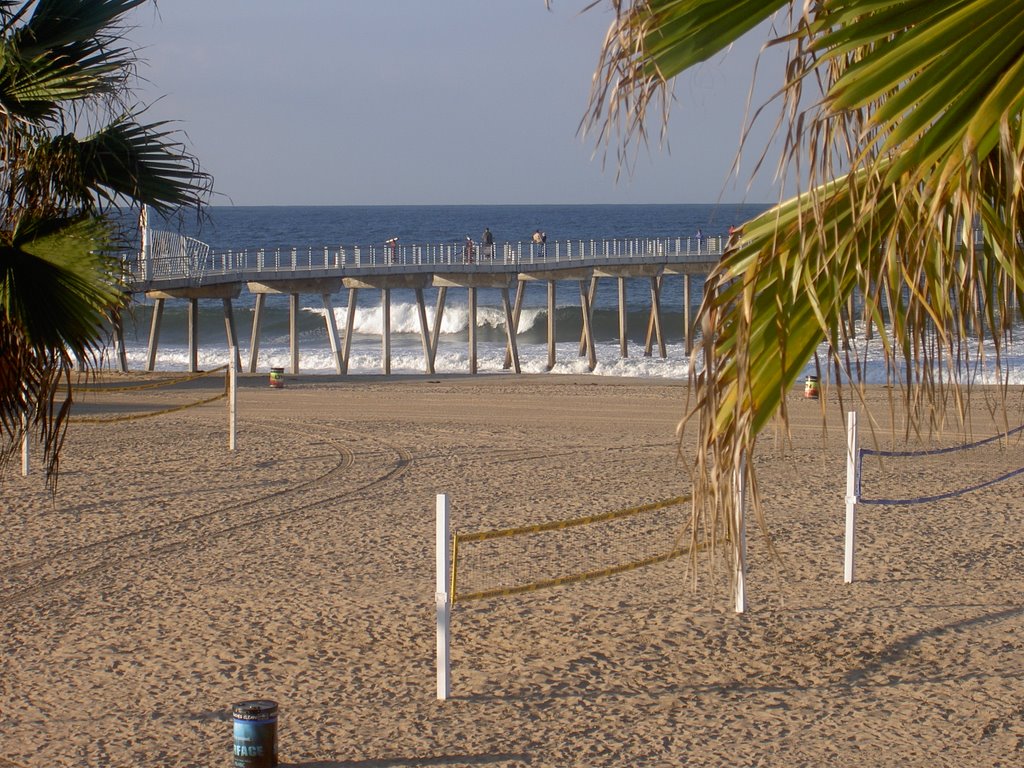 Hermosa Beach, CA by sharonk_4