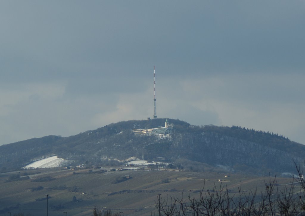 Kahlenberg from Donaucity by Christian Wolf