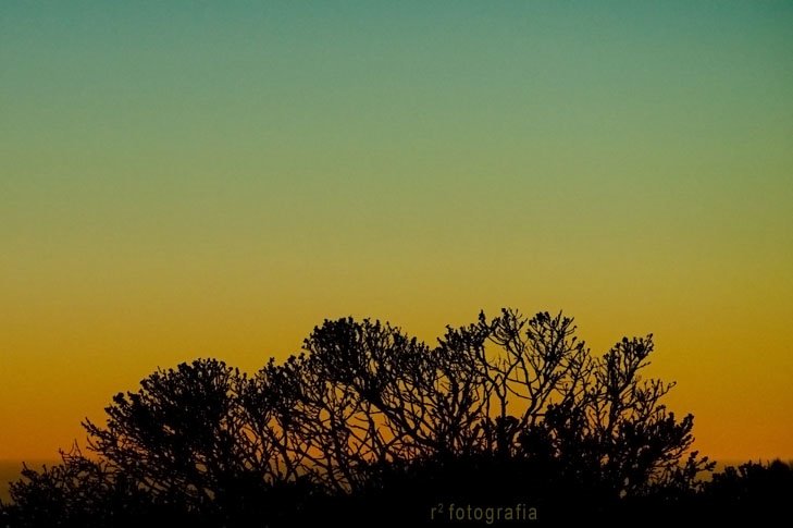 Seasons in the Sky ~ San Francisco, CA by Rafael (Retrocool)