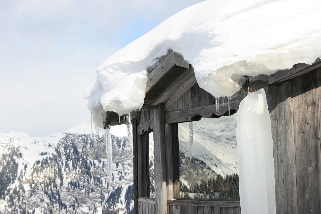 Wasserfalleralm (Hut) by martin schölzhorn