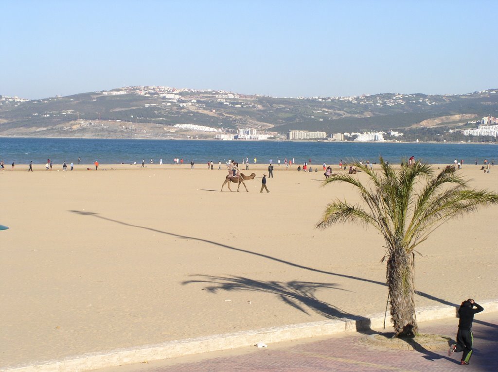 CAMELLO EN LA PLAYA DE TANGER by Victor Paredes Guerr…