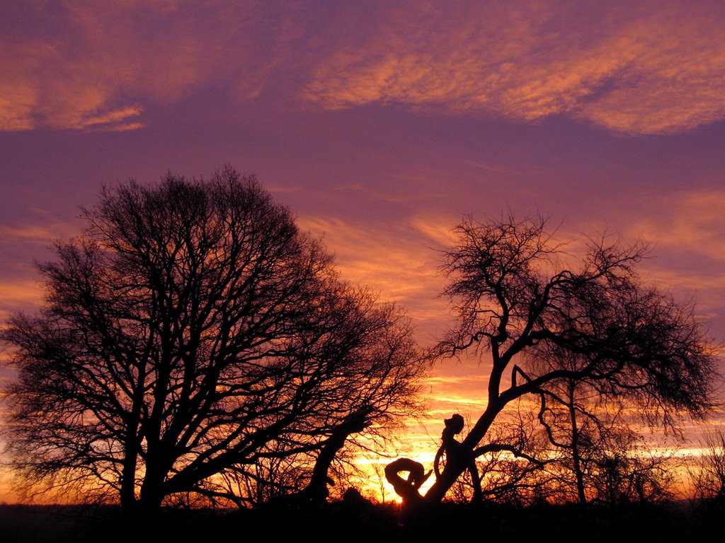 Wildapfelbaum und ein Sonnenaufgang by HariBor  <(@¿@)>