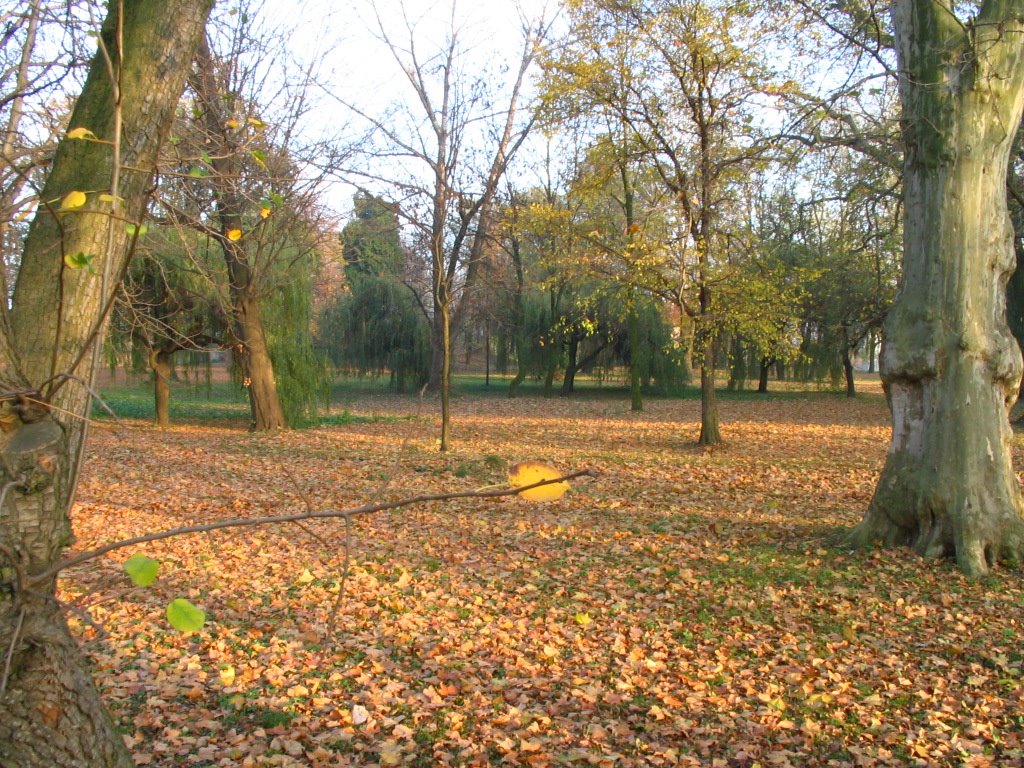 Wądroże Wielkie - park jesienią by Jacek Szymański