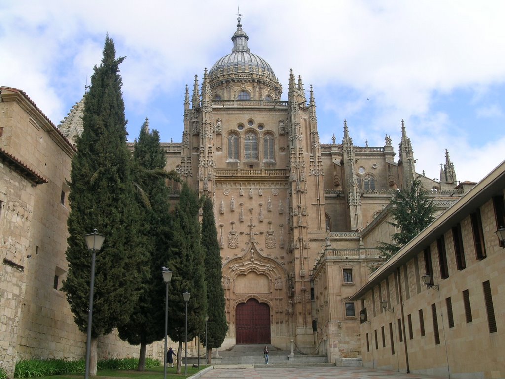 Catedral Nueva de Salamanca - Spain by ariancabef