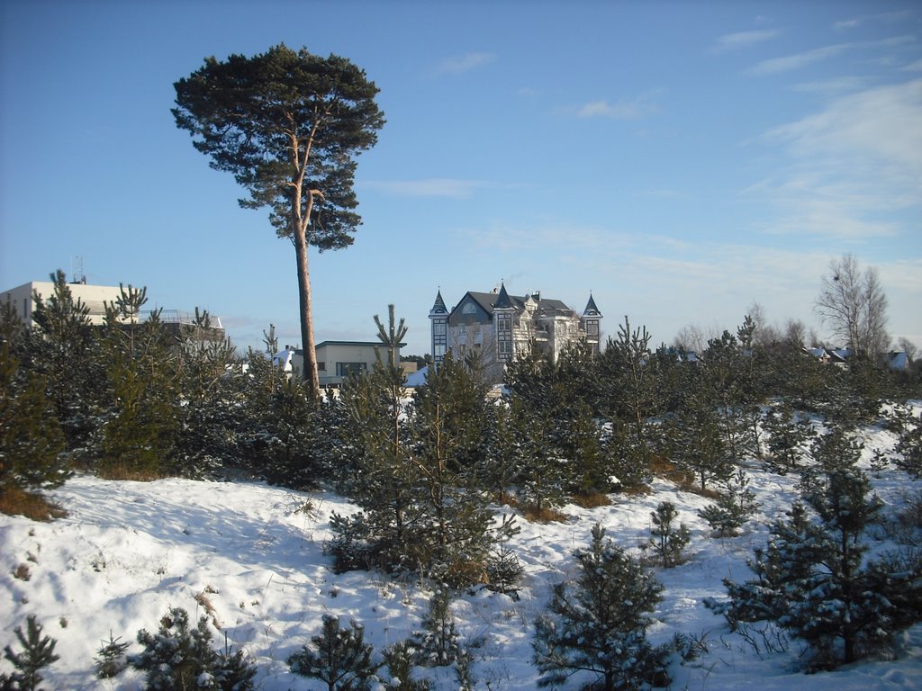 Snow (雪) in Klaipėda (クライペダ), Lithuania (リトアニア), European Union (欧州連合). 2009-02-16 15:00 by Tomaskla