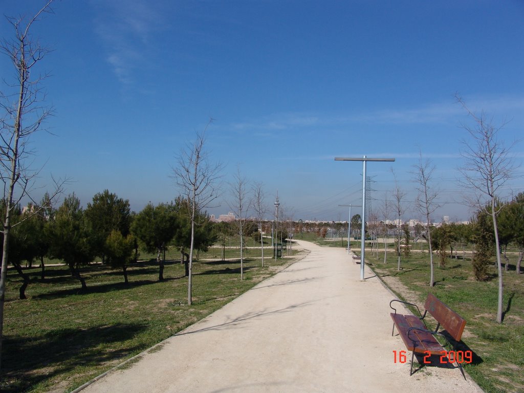 Parque solitario by Jesús González