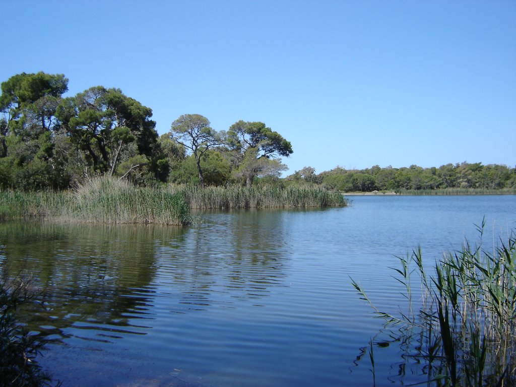 LAKE OF KAIFA by meniaf