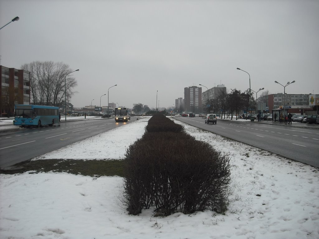 Klaipėda (クライペダ), Lithuania (リトアニア), European Union (欧州連合). Friday, February 13 th, 2009. by Tomaskla