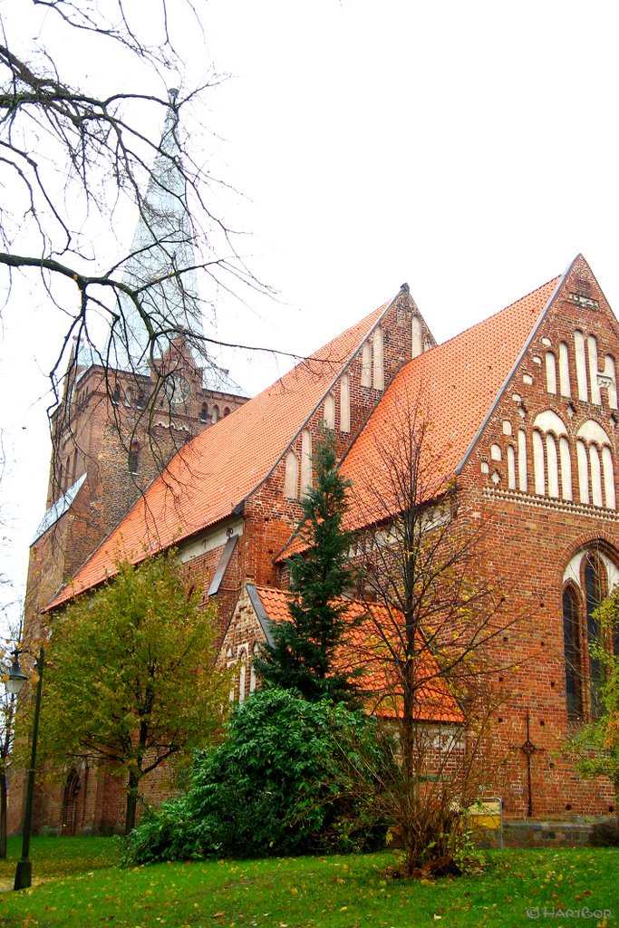 Kirche Bad Sülze Blick von Südost by HariBor  <(@¿@)>